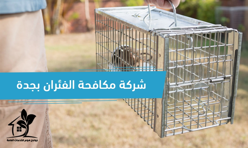 شركة مكافحة الفئران بجدة